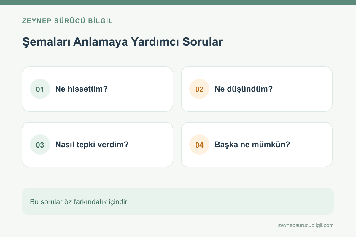 Yaygın şema türleri ve etkileri